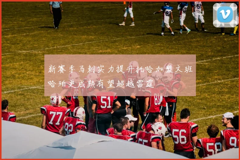 新赛季马刺实力提升托哈加盟文班哈珀更成熟有望超越雷霆